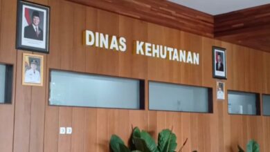 Honorer Dishut Kalsel Diciduk Bawa Sabu