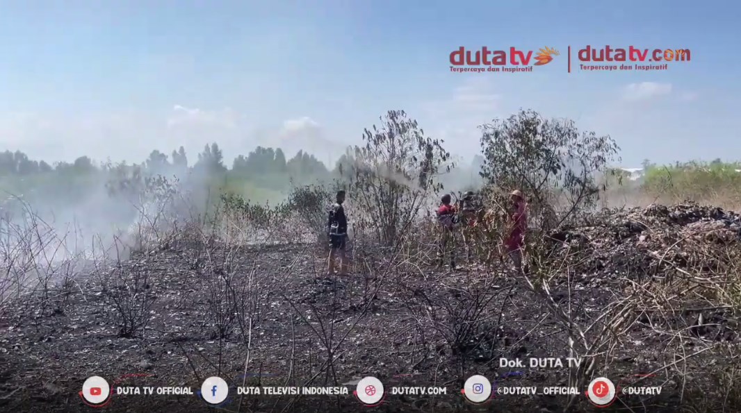Dok : duta tv