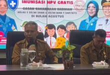 Siap-Siap, 50 Ribu Anak Perempuan di Kalsel Bakal Diimunisasi HPV