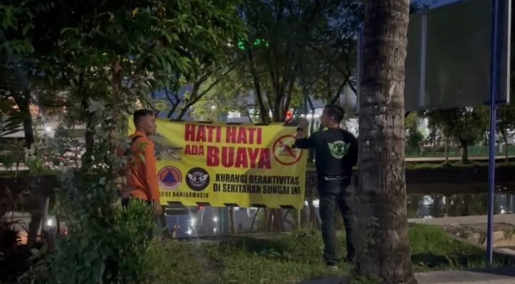 Video Buaya Kembali Muncul di Sungai Jafri Zam Zam Bikin Geger