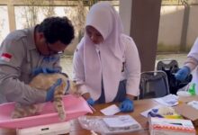 Karantina Kalsel Berikan Vaksinasi Rabies Gratis