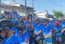 800 Pesepeda Ramaikan Jamselinas