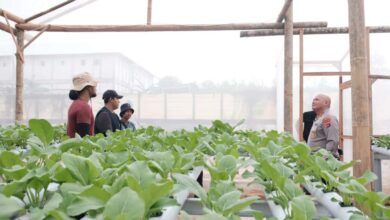 Kapolda Kalsel dan Aktivis Lokal Bahas Isu Sosial, Lingkungan, Pendidikan, dan Ketahanan Pangan