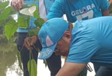 Partai Gelora Tanam Pohon di Banjarbaru