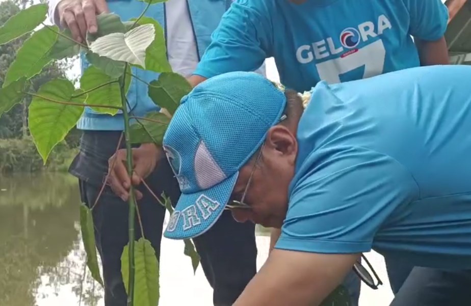 Partai Gelora Tanam Pohon di Banjarbaru