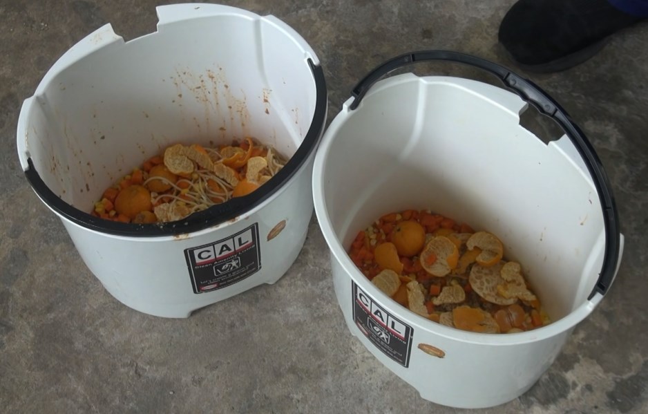 SMPN 1 Banjarmasin ‘Sulap’ Sampah MBG Jadi Pupuk