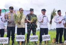 Jadi Lumbung Pangan Regional, Kalsel Pimpin Ketahanan Pangan