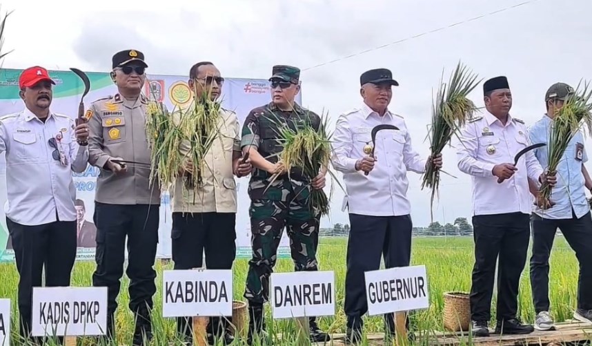 Jadi Lumbung Pangan Regional, Kalsel Pimpin Ketahanan Pangan