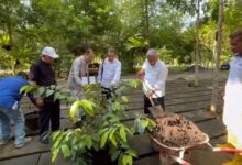Mohammad Nuh Tanam Pohon Ulin di Arboretum Ayu Tirta