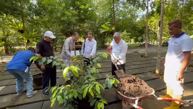 Mohammad Nuh Tanam Pohon Ulin di Arboretum Ayu Tirta