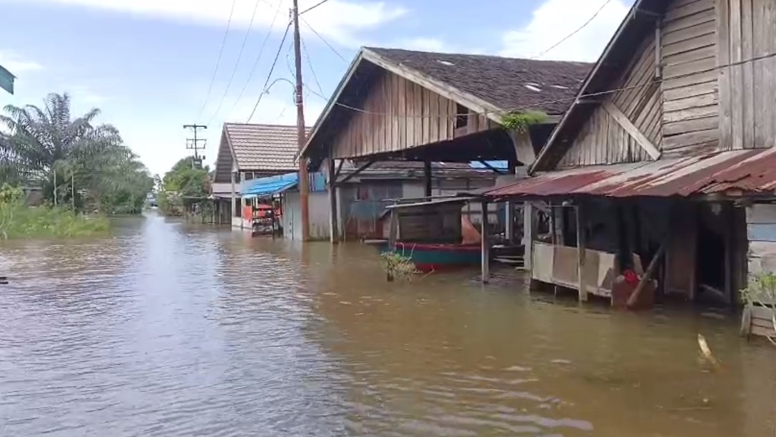 Ratusan Rumah Tergenang Banjir di Desa Benua Raya