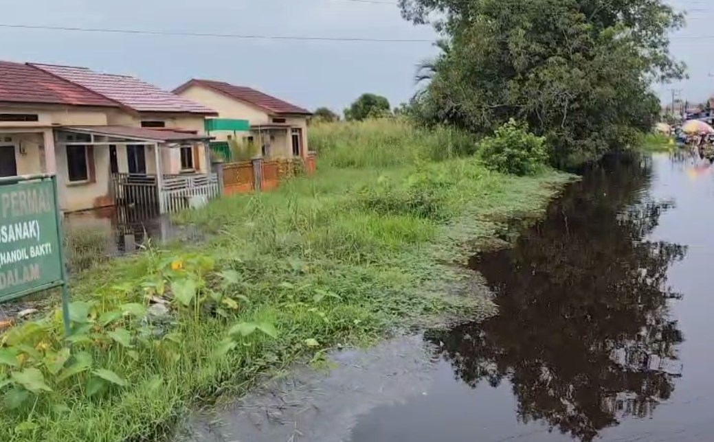 Ribuan Rumah di Semangat Dalam Kabupaten Batola Terendam Banjir