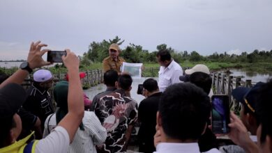 Jembatan Barito II Diproyeksikan Jadi Gerbang Logistik Baru Kalsel–Kalteng