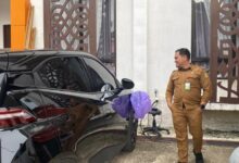 Pengadaan Mobil Listrik Diklaim Lebih Irit dan Ramah Lingkungan