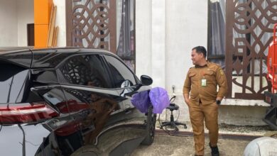 Pengadaan Mobil Listrik Diklaim Lebih Irit dan Ramah Lingkungan