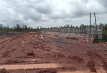 Proyek Rumah Sakit Gambut Mangkrak, Direktur Pelaksana Berstatus DPO