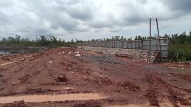 Proyek Rumah Sakit Gambut Mangkrak, Direktur Pelaksana Berstatus DPO