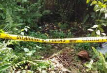 Warga Desa Baroqah Temukan Mayat Bayi Perempuan di Lahan Kosong