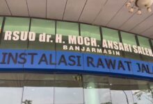 Dinkes Kalsel Perketat Pengawasan Virus Nipah