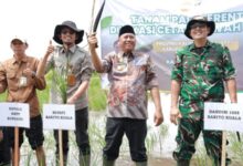 Bupati Barito Kuala H. Bahrul Ilmi