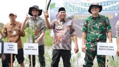 Bupati Barito Kuala H. Bahrul Ilmi