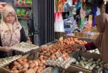 Kenaikan harga telur terjadi di sejumlah pasar tradisional selama bulan Ramadhan. Di Pasar Sentra Antasari, Banjarmasin, para pedagang mengaku permintaan telur