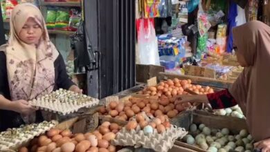 Kenaikan harga telur terjadi di sejumlah pasar tradisional selama bulan Ramadhan. Di Pasar Sentra Antasari, Banjarmasin, para pedagang mengaku permintaan telur