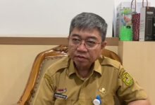 Kepala Dinas Lingkungan Hidup Banjarmasin, Alive Yosefah Love