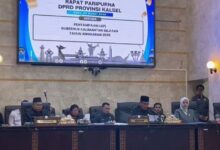 Usulkan Satgas Ilegal Mining, DPRD Kalsel Cari Jalan Tengah untuk Warga
