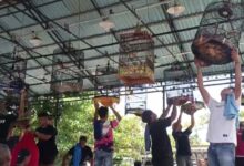 Ribuan Kicau Mania Ramaikan “Warrior 88 Infinity Cup” Banjarbaru