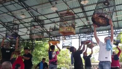 Ribuan Kicau Mania Ramaikan “Warrior 88 Infinity Cup” Banjarbaru