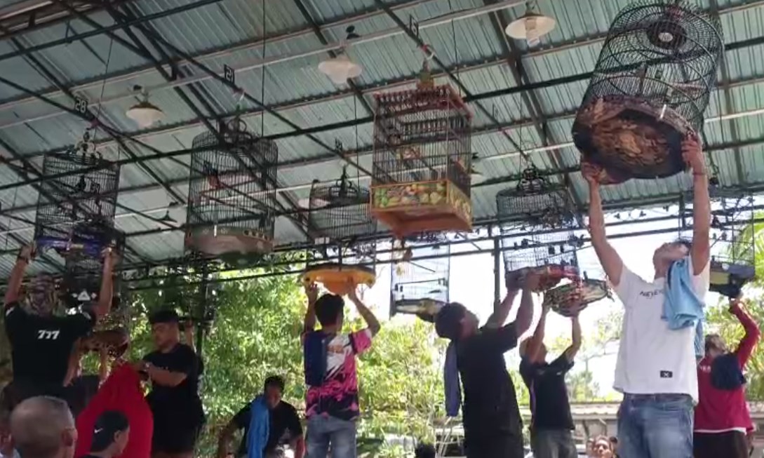 Ribuan Kicau Mania Ramaikan “Warrior 88 Infinity Cup” Banjarbaru