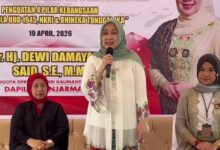 Dewi Damayanti Said, Anggota DPRD Kalsel