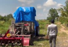 Terdampak Solar Langka, Petani Desa Penggalaman Terancam Gagal Panen