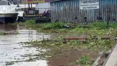 Eceng Gondok Sangkut di Siring Balai Kota, PUPR Rencanakan Trash Boom