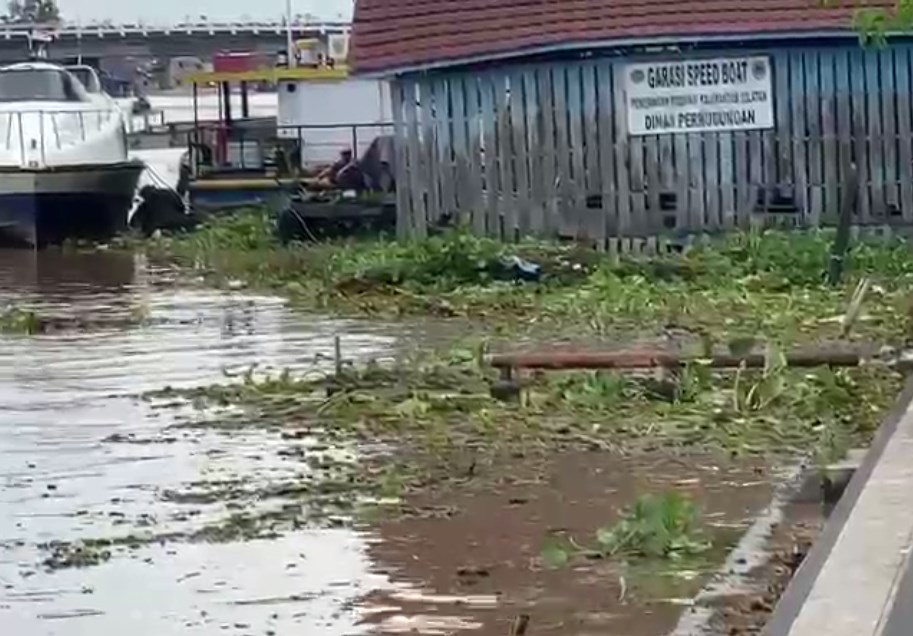 Eceng Gondok Sangkut di Siring Balai Kota, PUPR Rencanakan Trash Boom