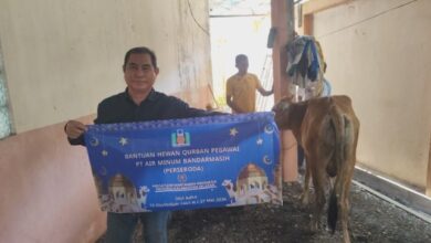PWI Kalsel Sembelih 3 Sapi Kurban, Bagikan 300 Paket Daging