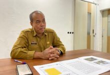 Kepala Bidang Pengawasan Bangunan Dinas PUPR Kota Banjarmasin, Pahriadi