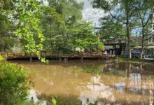 Pembangunan Jembatan Jafri Zam Zam Tertunda