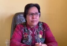 Susan, Kepala UPTD PPA DPPPA Banjarmasin