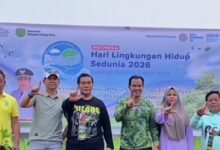 Pemkab Pulang Pisau Tanam Pohon Peringati Hari Lingkungan Hidup SeduniaPemkab Pulang Pisau Tanam Pohon Peringati Hari Lingkungan Hidup Sedunia