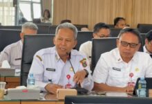 dr. Diauddin, Kepala Dinas Kesehatan Kalimantan Selatan