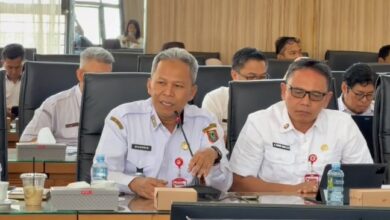 dr. Diauddin, Kepala Dinas Kesehatan Kalimantan Selatan