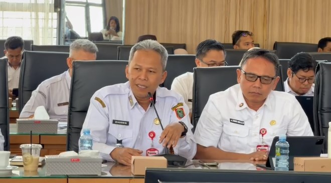 dr. Diauddin, Kepala Dinas Kesehatan Kalimantan Selatan