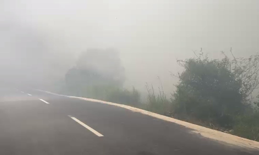 Kebakaran lahan terjadi di wilayah Baroh Peramuan dan Pengayuan, Kecamatan Liang Anggang, Kota Banjarbaru