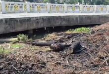 kawasan Siring Nol Kilometer Banjarmasin