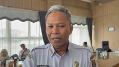 Kepala Dinas Kesehatan Kalimantan Selatan, dr. Diauddin