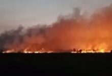 Kebakaran Lahan di Pengayuan (Foto: Duta TV)