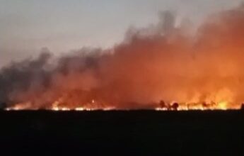 Kebakaran Lahan di Pengayuan (Foto: Duta TV)