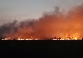 Kebakaran Lahan di Pengayuan (Foto: Duta TV)